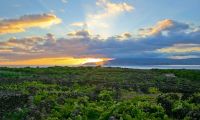 2023 - Angra - 40 anos de Património - Paisagem da Cultura da Vinha da Ilha do Pico também faz parte do Património Mundial