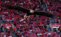Benfica-Famalicão: Voar para travar uma 'fama' em ascensão