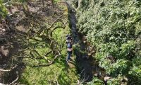 limpeza e conservação das linhas de água do Concelho de Angra